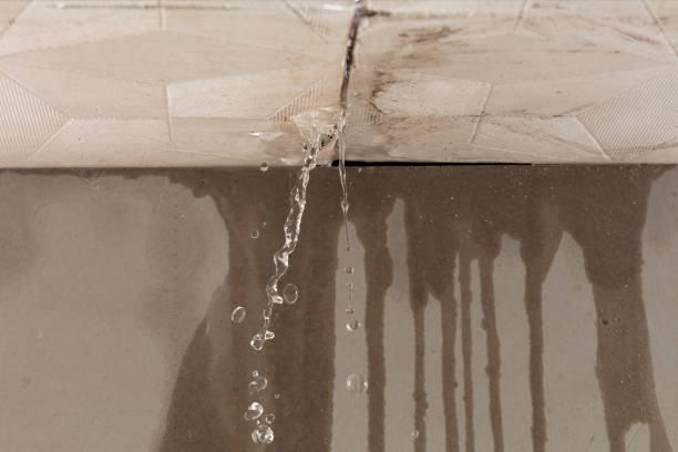 Professional Burst Pipe Cleanup technician working in Felicity, OH